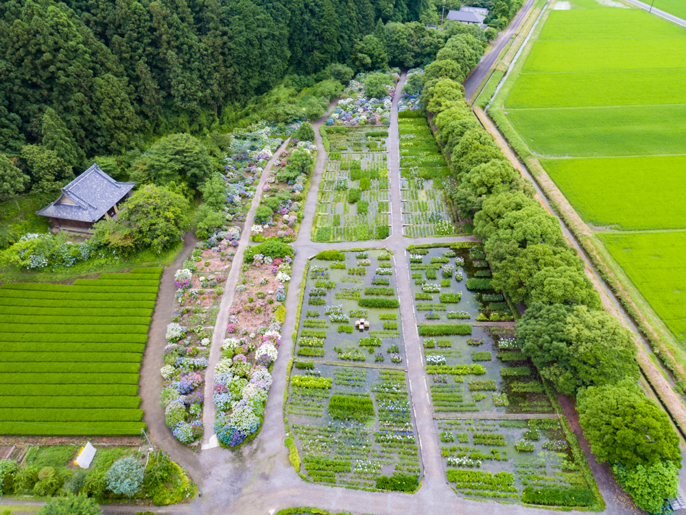 加茂荘花鳥園様 写真 株式会社ホバリング